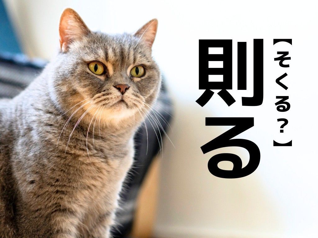 【則る】を「そくる」と読んだら恥ずかしい！？正しい読み方知ってますか？【読めそうで読めない漢字クイズ】