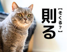 【則る】を「そくる」と読んだら恥ずかしい！？正しい読み方知ってますか？【読めそうで読めない漢字クイズ】