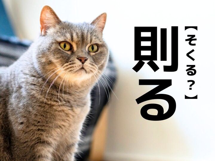 【則る】なんて読む?「そくる」ではありませんよ!【読めそうで読めない漢字クイズ】
