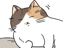 ちょっとだけ休憩のはずが…。【てらねこミー子の日常】