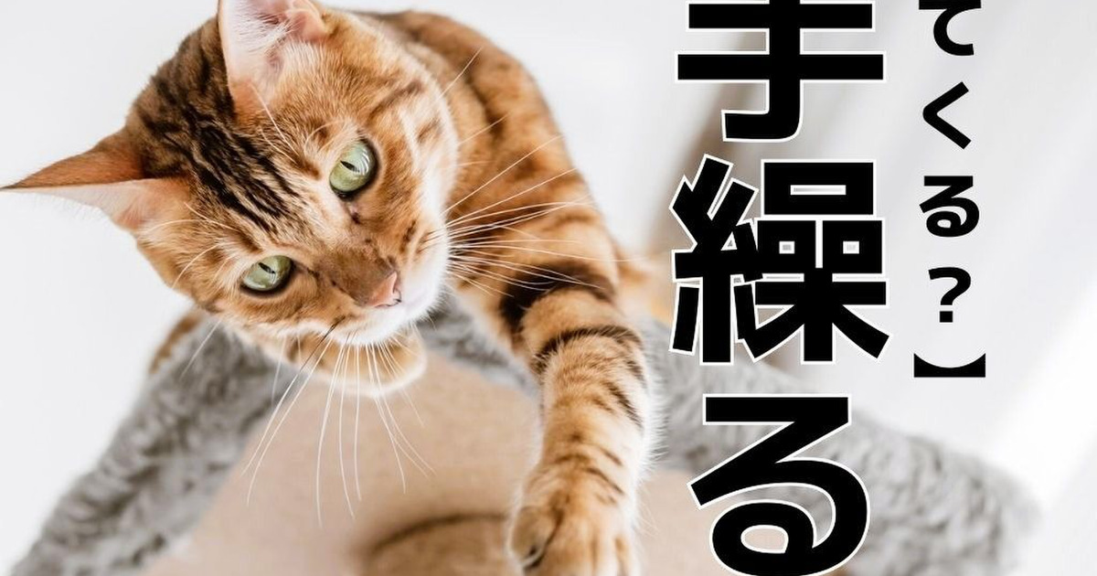 【手繰る】を「てくる」とうっかり読んだら笑われます!【読めないと恥ずかしい漢字クイズ】 2ページ目|暮らしニスタ