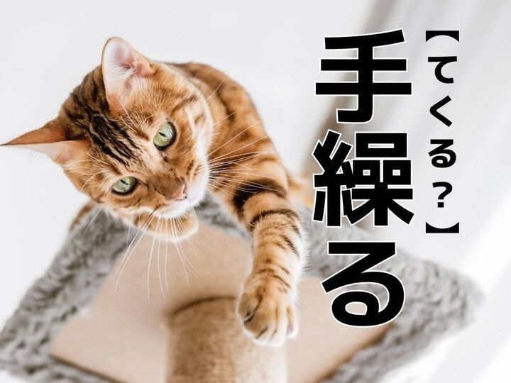 【手繰る】を「てくる」とうっかり読んだら笑われます!【読めないと恥ずかしい漢字クイズ】