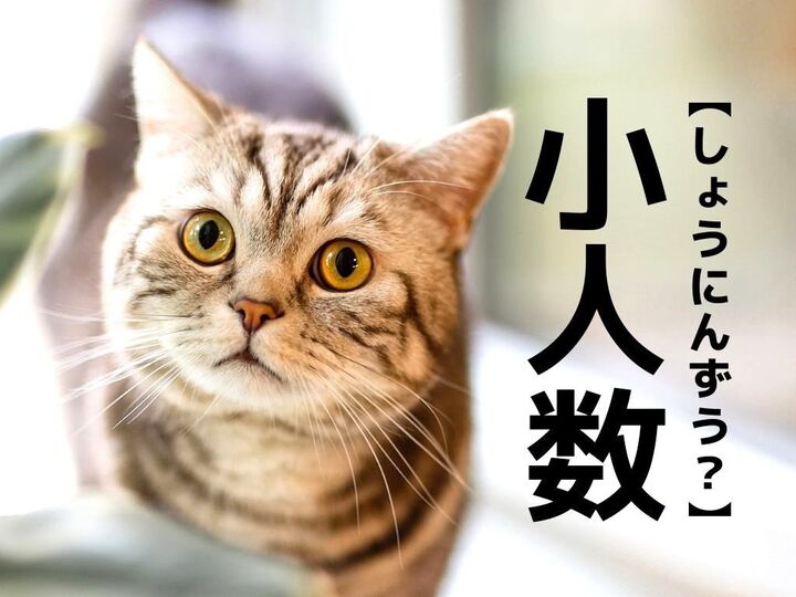 【小人数】を「しょうにんずう」と読んだら笑われる!?よーく見てみるとわかるかも…!【意外と知らない漢字クイズ】