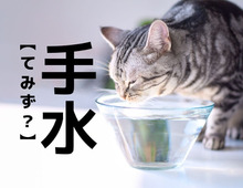【手水】なんて読む？「てみず」…ではなく、もうひとつの読み方があるんです！【意外と知らない漢字クイズ】