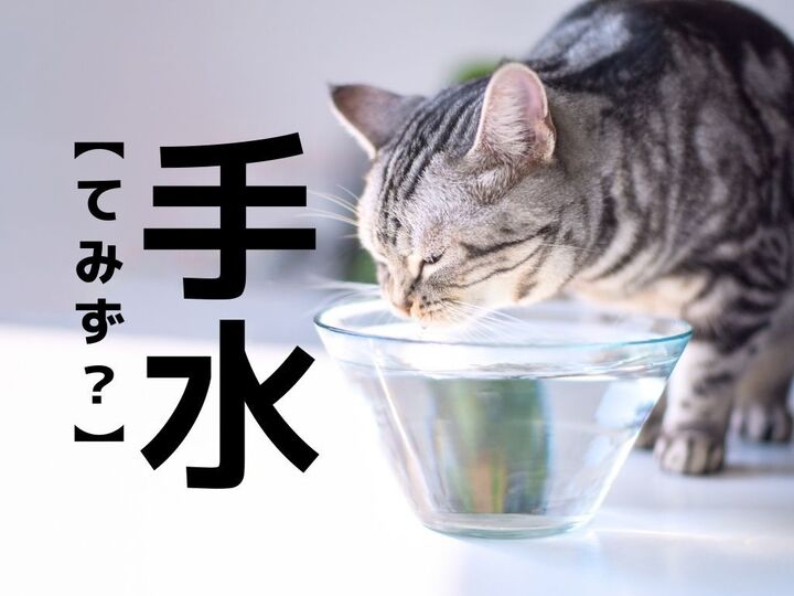【手水】なんて読む?「てみず」…ではなく、もうひとつの読み方があるんです!【意外と知らない漢字クイズ】