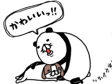 老犬になつかれるって、最高に幸せ！！何があっても梅吉のかわいさは揺るぎません。【パンダと犬#27】