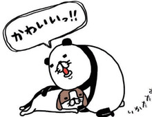 老犬になつかれるって、最高に幸せ！！何があっても梅吉のかわいさは揺るぎません。【パンダと犬#27】