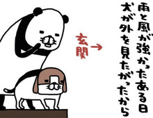 「守って差し上げる」犬のためなら…！梅吉愛が止まらない飼い主の行動。【パンダと犬#26】