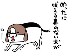「ビーグル犬の本気」限界を超えて…普段吠えない老犬が吠えるとき。【パンダと犬#20】