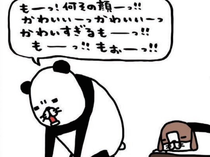 「もー！何その顔かわいすぎるもーっ！」飼い主を悶えさせる梅吉（14歳）の最高にかわいい瞬間♡【パンダと犬#21】