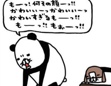 「もー！何その顔かわいすぎるもーっ！」飼い主を悶えさせる梅吉（14歳）の最高にかわいい瞬間♡【パンダと犬#21】