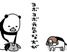 「ヨボヨボ元気」な老犬・梅吉。思わず応援しちゃう梅吉のイタズラとは…？【パンダと犬#32】