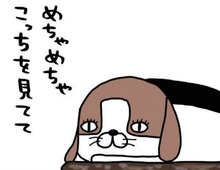 犬と過ごしていると。時間忘れがちだし、知らない間にガン見されてたりする。【パンダと犬#22】