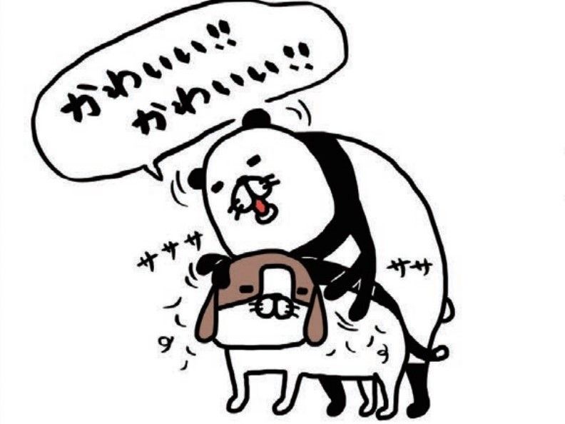 思わず感謝「サンキュー神様！」梅吉に巡り合うための道筋ならば本望です。【パンダと犬#36】