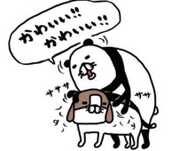 思わず感謝「サンキュー神様！」梅吉に巡り合うための道筋ならば本望です。【パンダと犬#36】