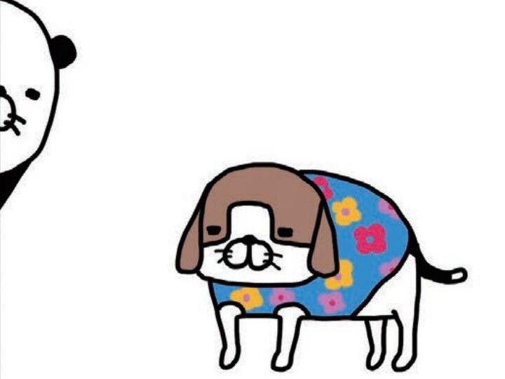 〈犬の服〉着ててもかわいいし着てなくてもかわいい。つまり春夏秋冬かわいい。【パンダと犬#33】