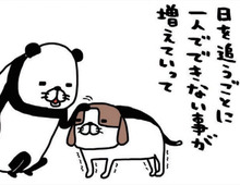 1人でできない事が増えて世話がやけるけど。「ヨボヨボかわいい」うちの梅吉。【パンダと犬#35】