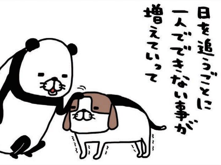 1人でできない事が増えて世話がやけるけど。「ヨボヨボかわいい」うちの梅吉。【パンダと犬#35】
