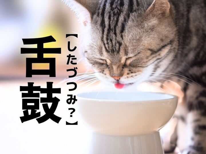 【舌鼓】は「したづつみ」ではない!?まさかすぎる読み方とは!【意外と知らない漢字クイズ】