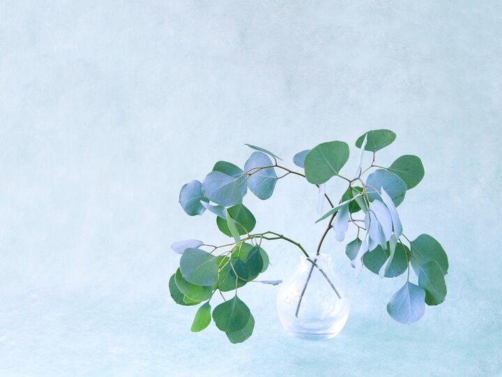 9月8日(月)今日は皆既月食×満月の超パワーデー!「絶対やったほうがいいこと」をチェックして