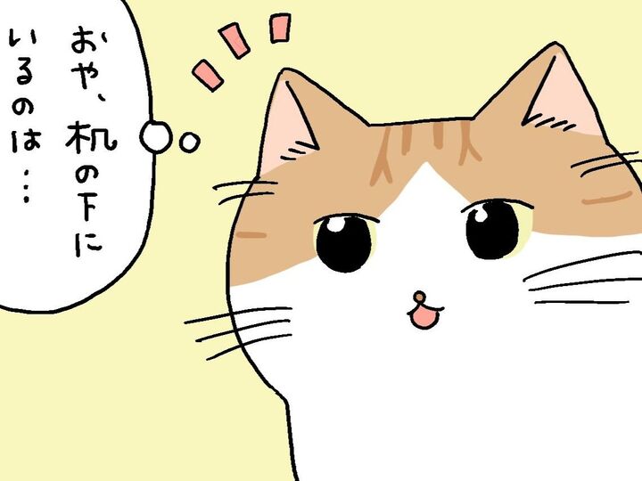 おや?なんだかいつもと様子が違う…?【てらねこミー子の日常】