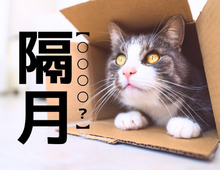 【隔日】は「かくじつ」。では【隔月】は何と読む？実は、意外と間違えやすい漢字なんです！【読めそうで読めない漢字クイズ】