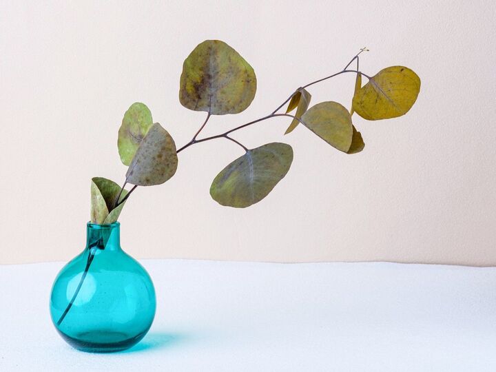 9月23日(火)今日は秋分の日。穏やかに次の季節へ移るために「絶対やったほうがいいこと」3つ