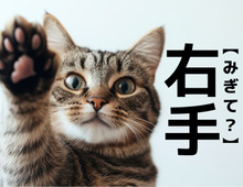 【右手】＝「みぎて」じゃない！？ヒントは『弓道』。一発で答えられたらスゴすぎる！【意外と知らない漢字クイズ】