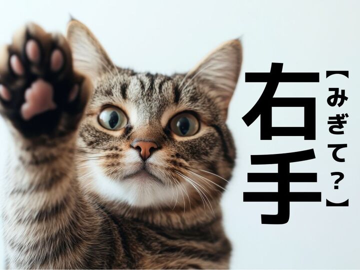 【右手】=「みぎて」じゃない!?ヒントは『弓道』。一発で答えられたらスゴすぎる!【意外と知らない漢字クイズ】