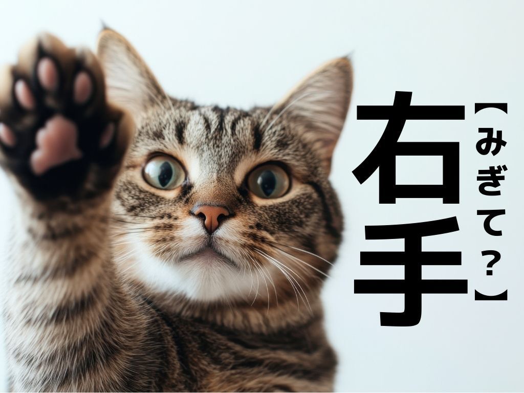 【右手】＝「みぎて」じゃない！？ヒントは『弓道』。一発で答えられたらスゴすぎる！【意外と知らない漢字クイズ】