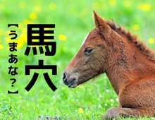  【馬穴】なんて読む？「うまあな」ではありません。みんながよく知るあるモノの名称なんです【意外と知らない漢字クイズ】