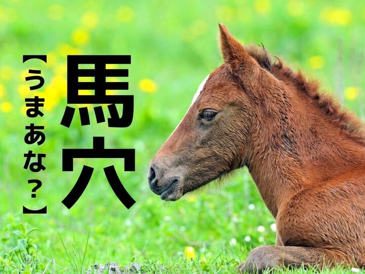 【馬穴】なんて読む?「うまあな」ではありません。みんながよく知るあるモノの名称なんです【意外と知らない漢字クイズ】
