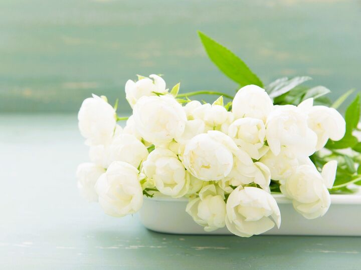 9月20日(土)今日はパワーの強い超ラッキーデー!今日こそ、絶対やったほうがいいことがありますよ♪