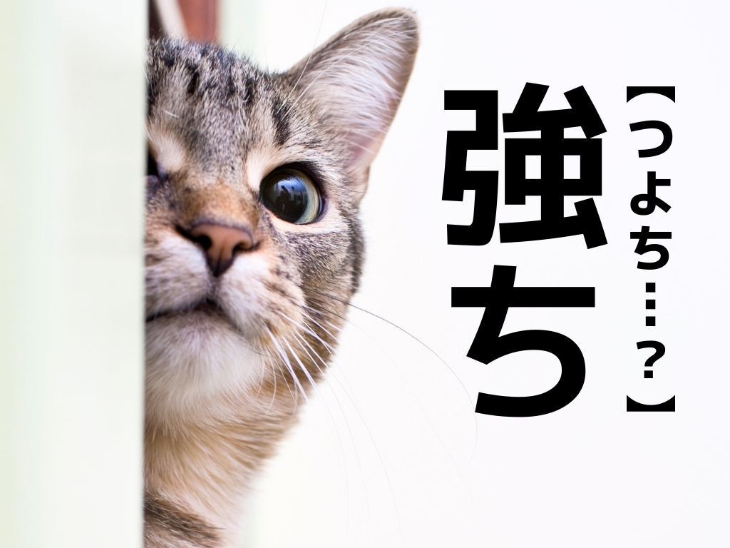 【強ち】なんて読む？「つよち…？」ではありませんよ！【読めそうで読めない漢字クイズ】