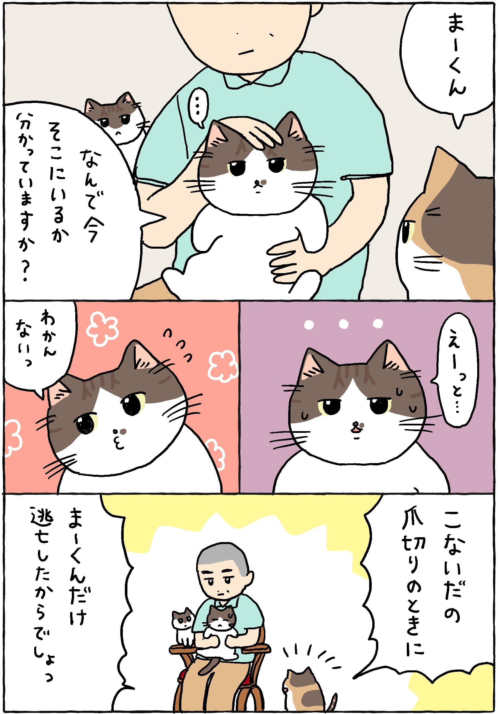 まーくんがどうしても苦手なコト。【てらねこミー子の日常】｜暮らしニスタ
