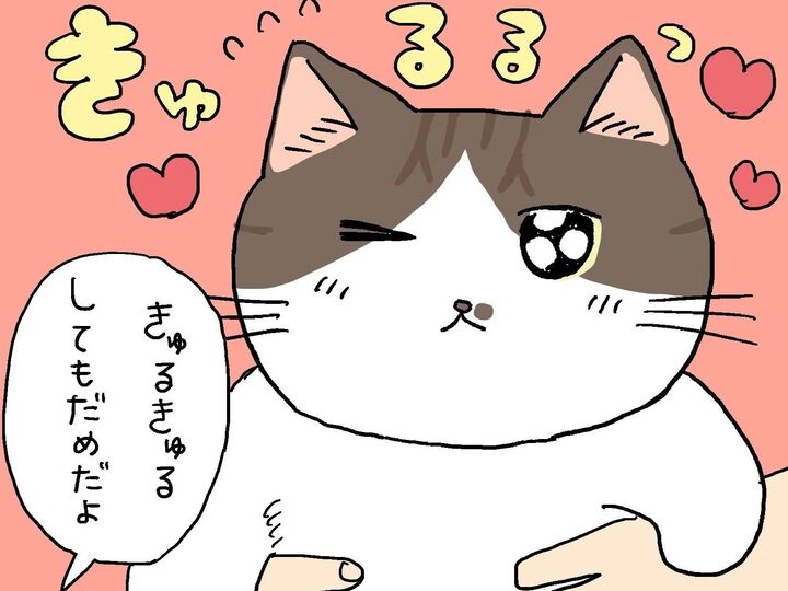 まーくんがどうしても苦手なコト。【てらねこミー子の日常】
