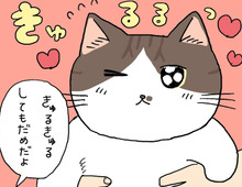 まーくんがどうしても苦手なコト。【てらねこミー子の日常】