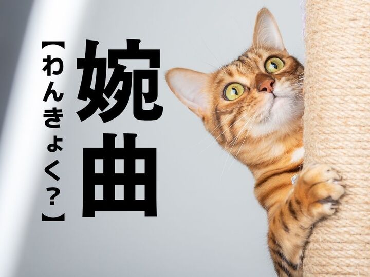 【婉曲】は「わんきょく」ではありません!【歪曲】【湾曲】は正しく読める?〈間違えやすい漢字クイズ〉
