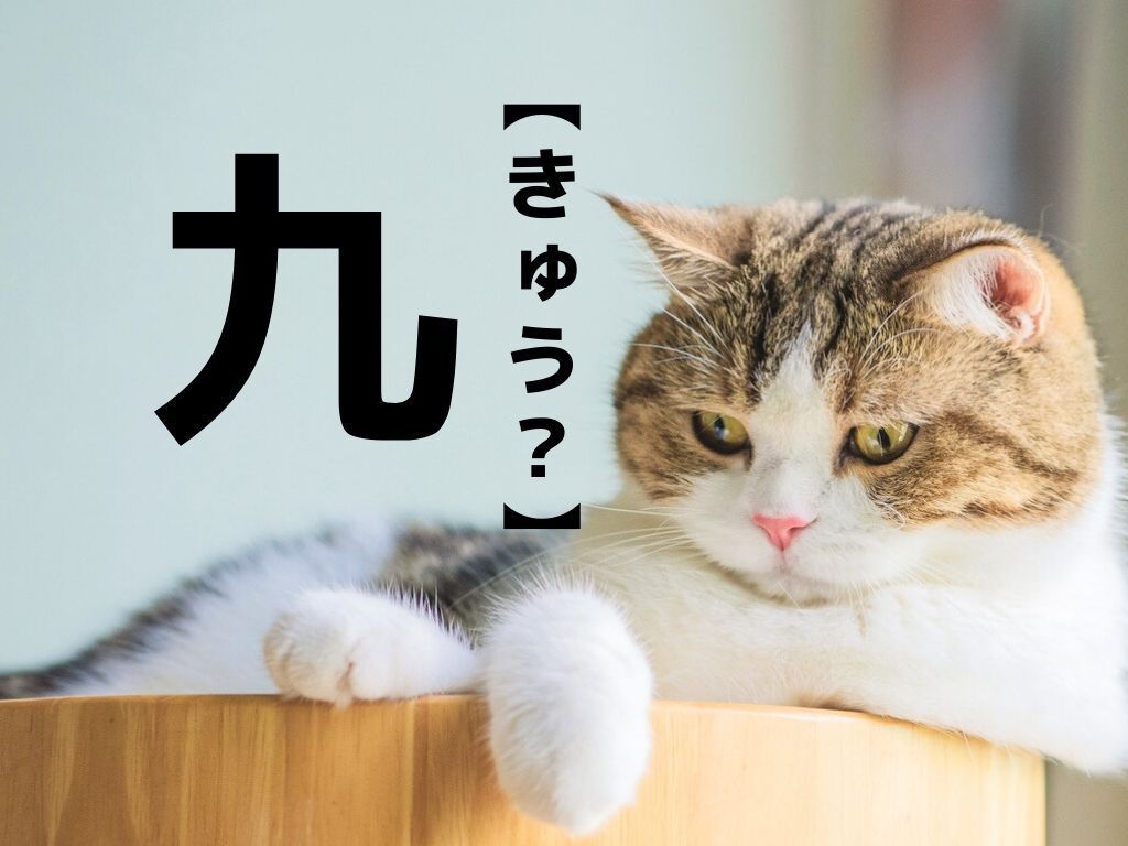 【九】なんて読む？「きゅう」でも「く」でもありません。由来を知ると…なるほど～！！【難読苗字クイズ】