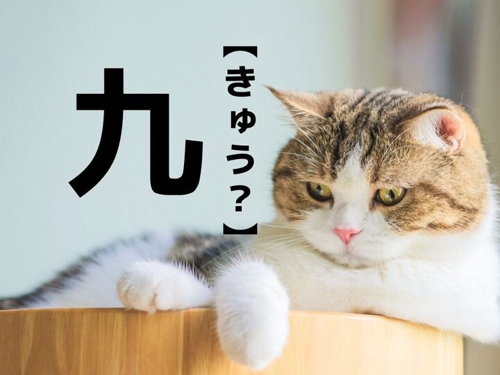 【九】なんて読む?「きゅう」でも「く」でもありません。由来を知ると…なるほど~!!【難読苗字クイズ】