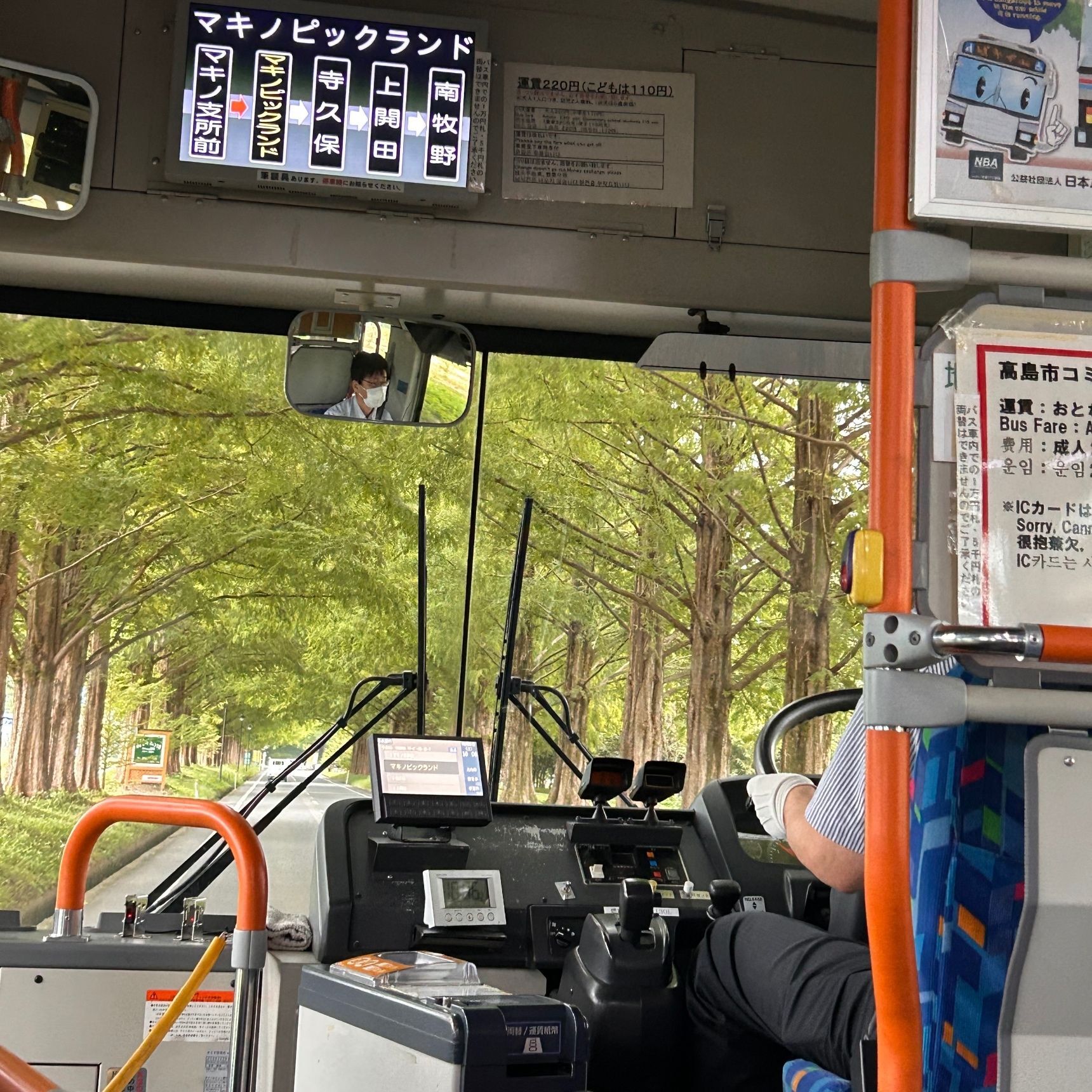 バス正面にメタセコイア並木