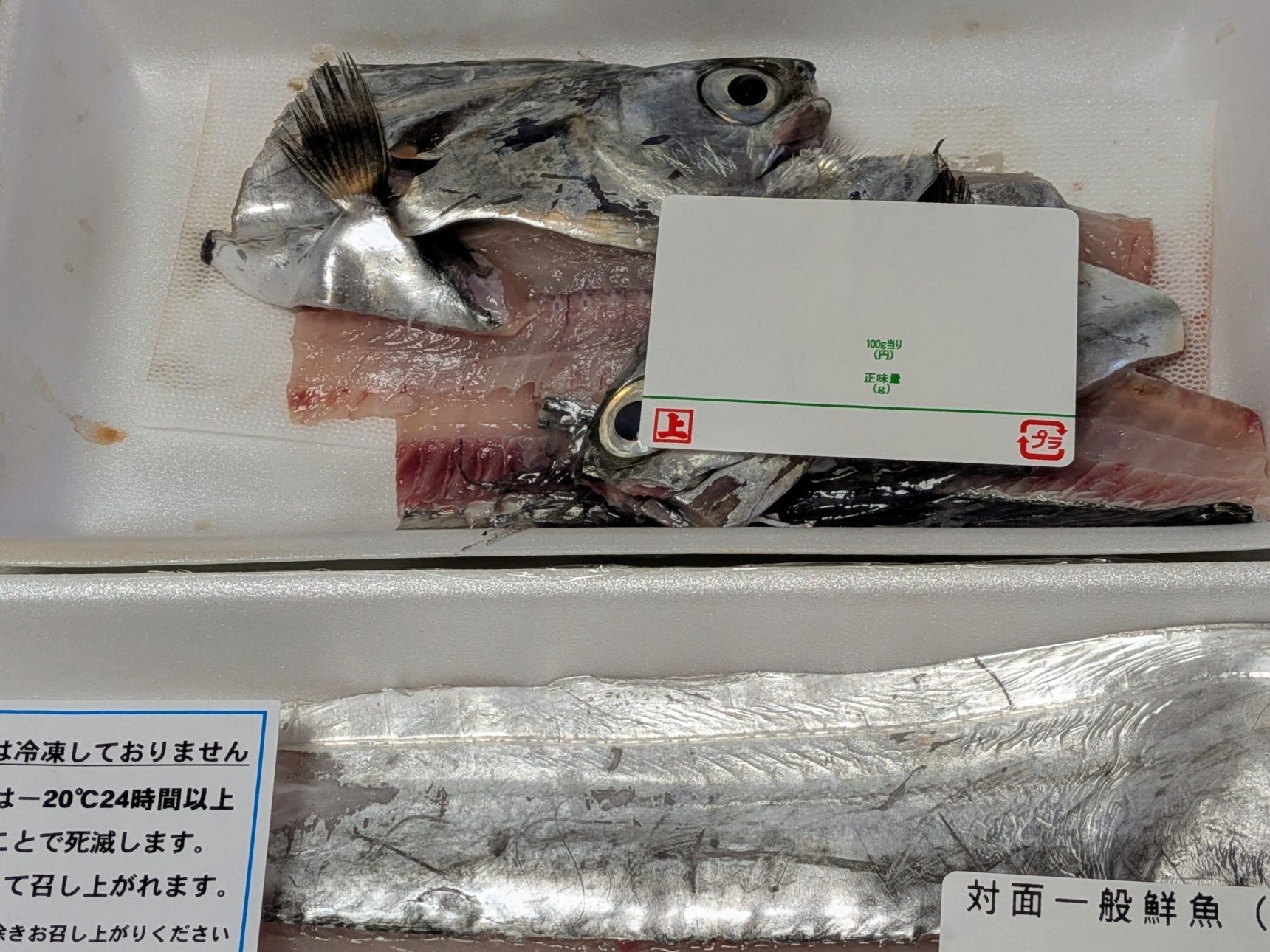 タチウオ