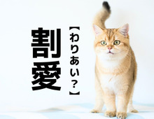 【割愛】は「わりあい」ではありません！正しい読み方と意味、知ってますか？【読めないと恥ずかしい漢字クイズ】