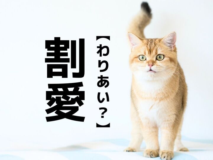【割愛】は「わりあい」ではありません!正しい読み方と意味、知ってますか?【読めないと恥ずかしい漢字クイズ】