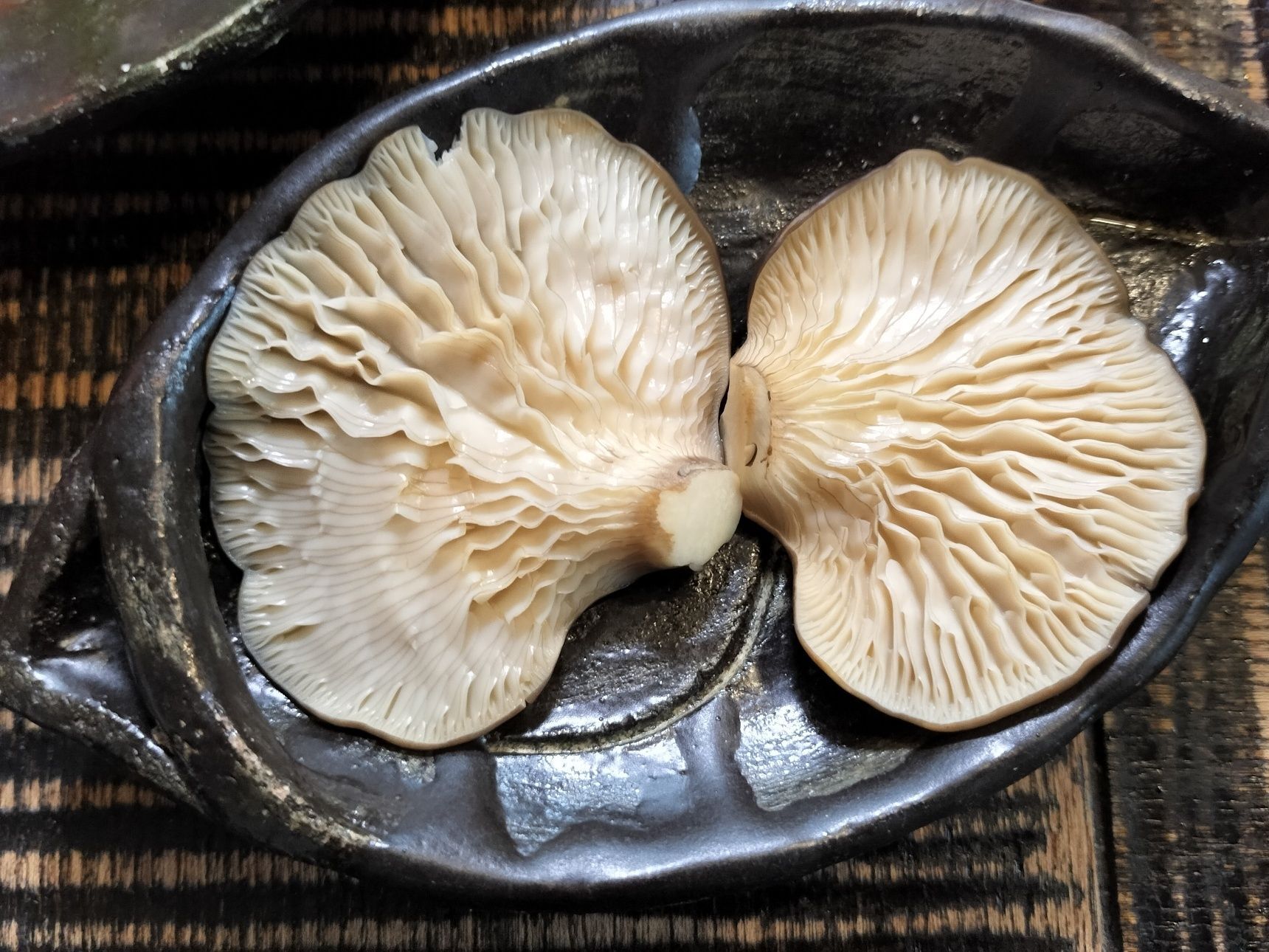 【副菜1（黒あわび茸のお刺身】