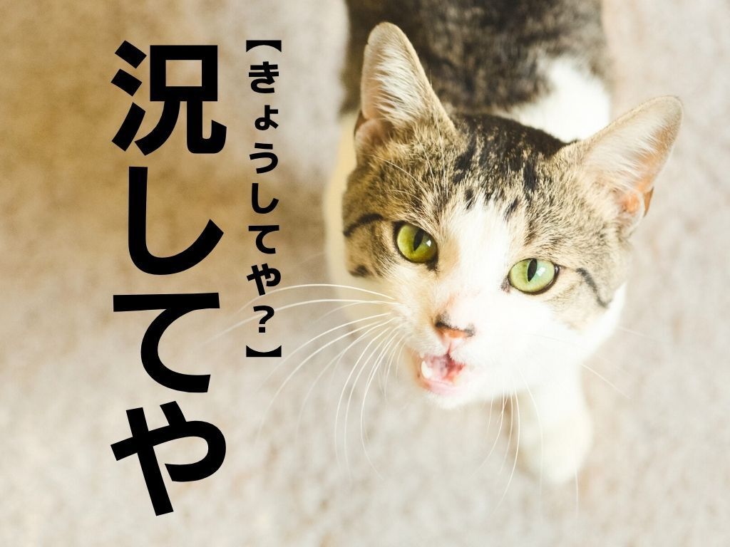 【況してや】なんて読む？「きょうしてや～」ではありません！【意外と知らない漢字クイズ】