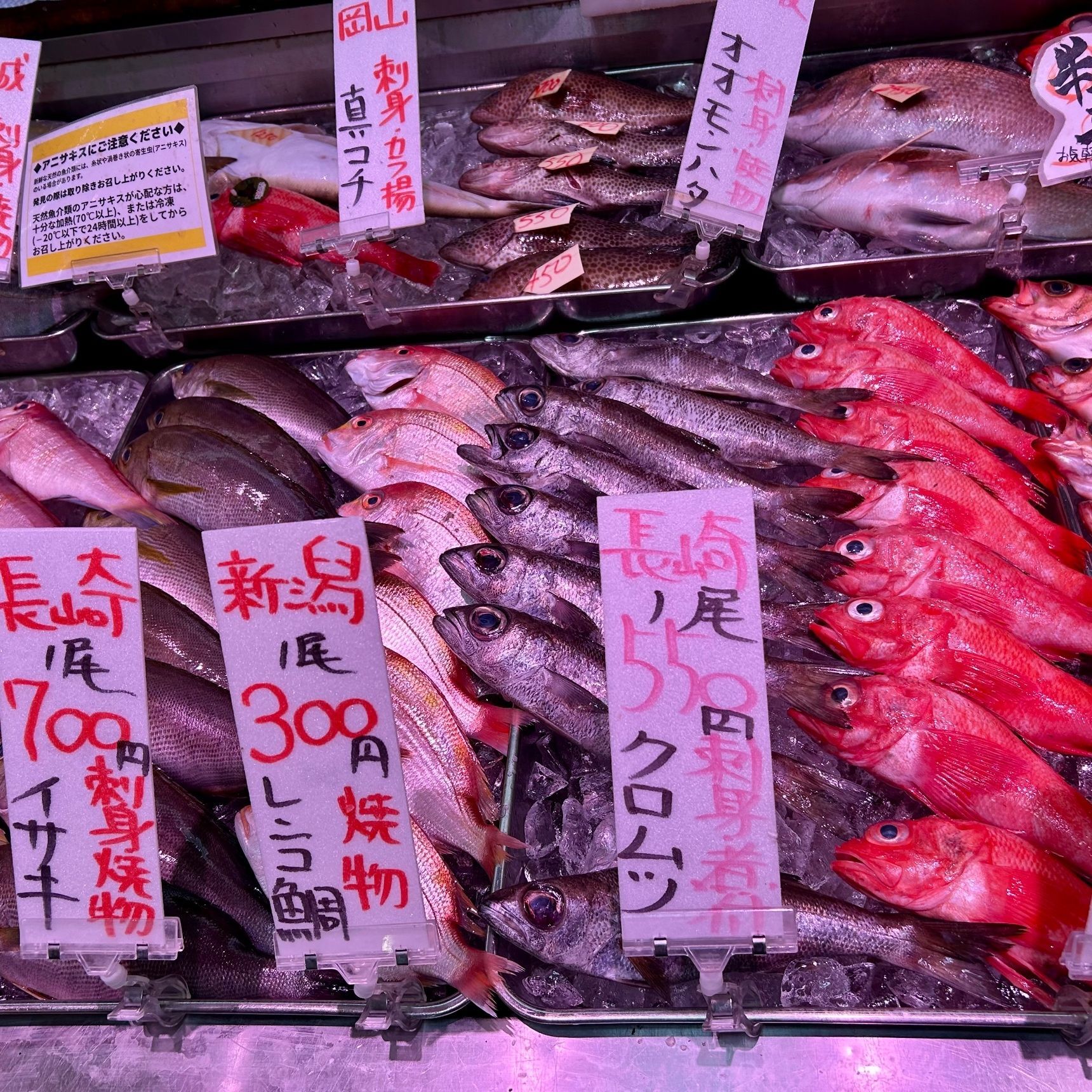 【天然魚クエスト】海なし県でも新鮮な天然魚が味わえる？！〜鮮魚店・スーパー〜