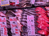 【天然魚クエスト】海なし県でも新鮮な天然魚が味わえる？！〜鮮魚店・スーパー〜