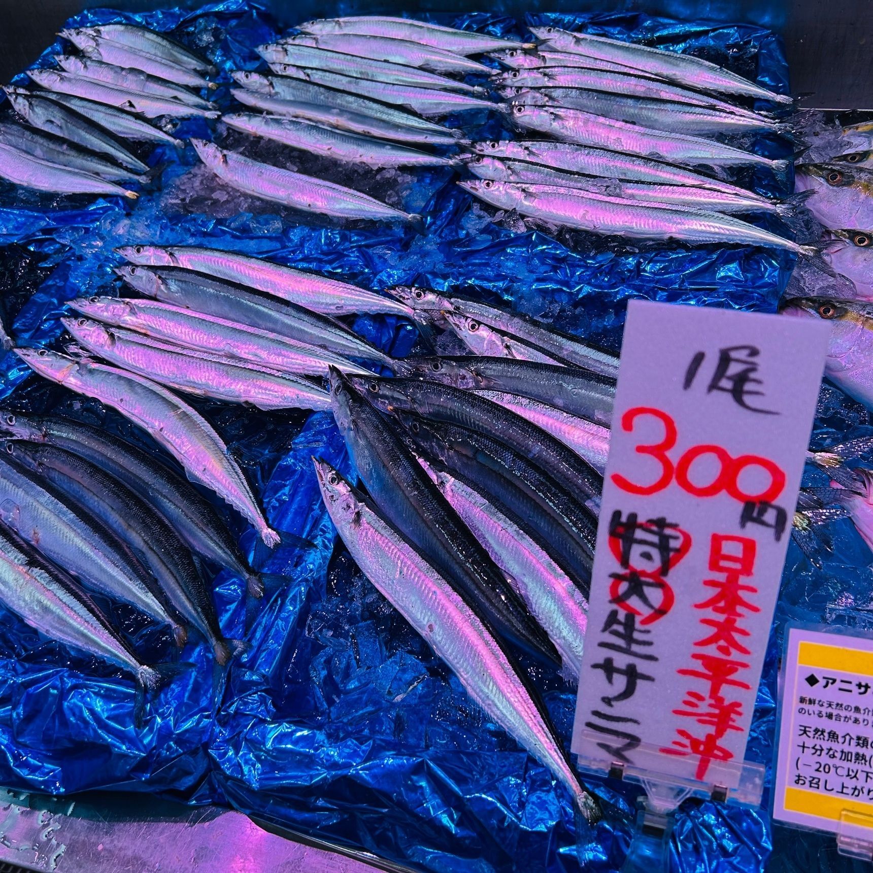 鮮魚店