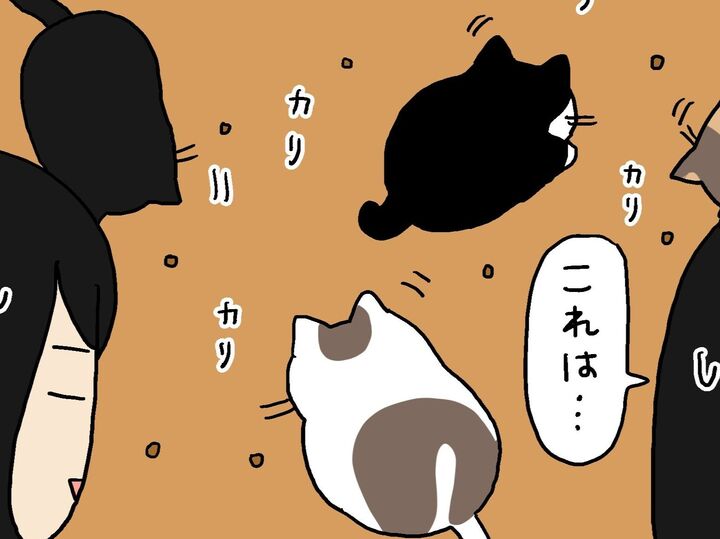 いつものごはん風景が…いったい何ごと!?【てらねこミー子の日常】